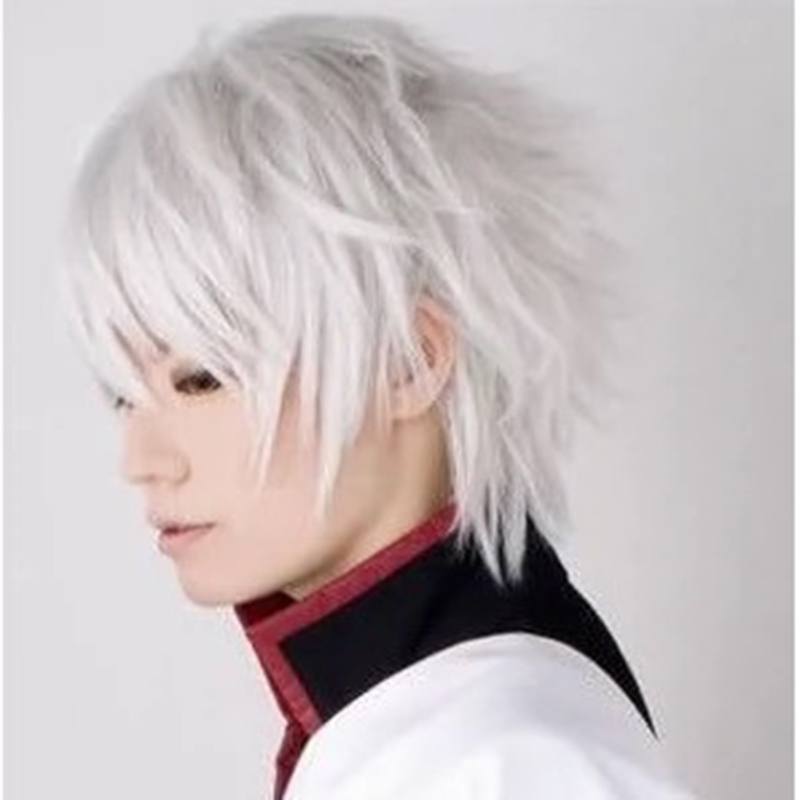 Cosplay Anime White Hair - Anime Cosplay Wig White Simulated Hair