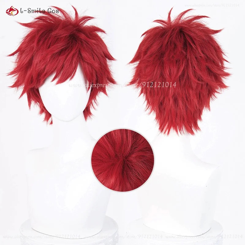 Anime Reinhard Van Astrea Cosp - Anime Cosplay Youtube Shorts ulasan dan harga
